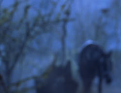 extant_XenaWarriorPrincess_6x08-TheRing_2507