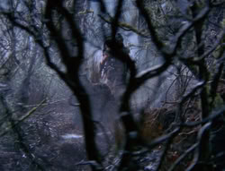 extant_XenaWarriorPrincess_6x08-TheRing_2517