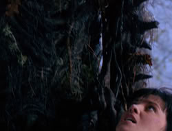 extant_XenaWarriorPrincess_6x08-TheRing_2588