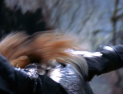 extant_XenaWarriorPrincess_6x08-TheRing_2694