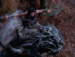 extant_XenaWarriorPrincess_6x08-TheRing_2705