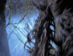extant_XenaWarriorPrincess_6x08-TheRing_2706