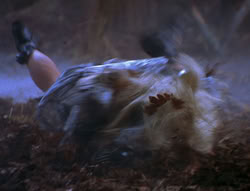 extant_XenaWarriorPrincess_6x08-TheRing_2716