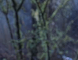 extant_XenaWarriorPrincess_6x08-TheRing_2775