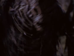 extant_XenaWarriorPrincess_6x08-TheRing_2867