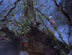 extant_XenaWarriorPrincess_6x08-TheRing_2946