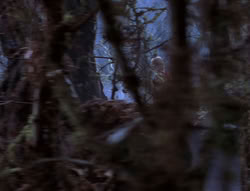 extant_XenaWarriorPrincess_6x08-TheRing_2948