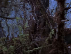 extant_XenaWarriorPrincess_6x08-TheRing_2949