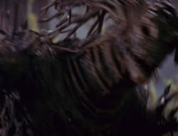 extant_XenaWarriorPrincess_6x08-TheRing_3040