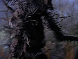 extant_XenaWarriorPrincess_6x08-TheRing_3048