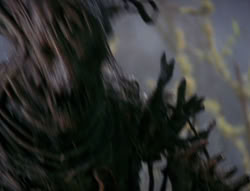 extant_XenaWarriorPrincess_6x08-TheRing_3058