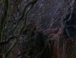 extant_XenaWarriorPrincess_6x08-TheRing_3149