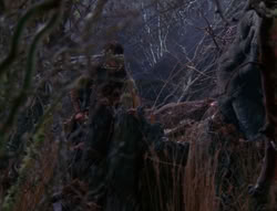 extant_XenaWarriorPrincess_6x08-TheRing_3150