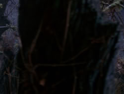 extant_XenaWarriorPrincess_6x08-TheRing_3152