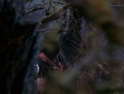 extant_XenaWarriorPrincess_6x08-TheRing_3153