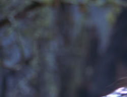 extant_XenaWarriorPrincess_6x08-TheRing_3290