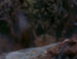 extant_XenaWarriorPrincess_6x08-TheRing_3291