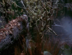 extant_XenaWarriorPrincess_6x08-TheRing_3294