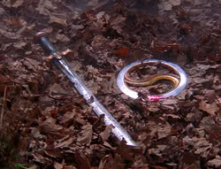 extant_XenaWarriorPrincess_6x08-TheRing_3484