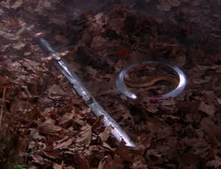 extant_XenaWarriorPrincess_6x08-TheRing_3486