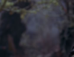 extant_XenaWarriorPrincess_6x08-TheRing_3502