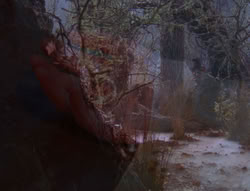 extant_XenaWarriorPrincess_6x08-TheRing_3522