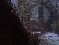 extant_XenaWarriorPrincess_6x08-TheRing_3523