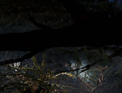 extant_XenaWarriorPrincess_6x09-ReturnOfTheValkyrie_0142