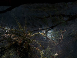 extant_XenaWarriorPrincess_6x09-ReturnOfTheValkyrie_0143