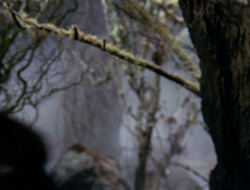 extant_XenaWarriorPrincess_6x09-ReturnOfTheValkyrie_0175