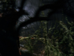 extant_XenaWarriorPrincess_6x09-ReturnOfTheValkyrie_0181