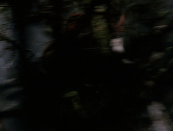 extant_XenaWarriorPrincess_6x09-ReturnOfTheValkyrie_0196