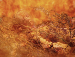 extant_XenaWarriorPrincess_6x09-ReturnOfTheValkyrie_0215