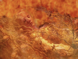 extant_XenaWarriorPrincess_6x09-ReturnOfTheValkyrie_0217
