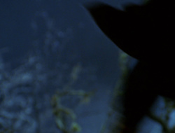 extant_XenaWarriorPrincess_6x09-ReturnOfTheValkyrie_0287