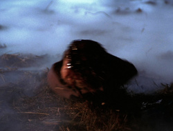 extant_XenaWarriorPrincess_6x09-ReturnOfTheValkyrie_0312