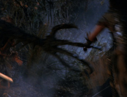extant_XenaWarriorPrincess_6x09-ReturnOfTheValkyrie_0338