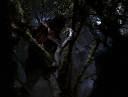 extant_XenaWarriorPrincess_6x09-ReturnOfTheValkyrie_0349