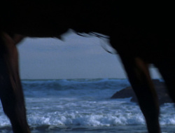 extant_XenaWarriorPrincess_6x09-ReturnOfTheValkyrie_1931