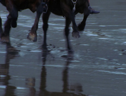 extant_XenaWarriorPrincess_6x09-ReturnOfTheValkyrie_1937