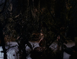 extant_XenaWarriorPrincess_6x09-ReturnOfTheValkyrie_2528