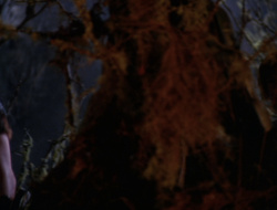 extant_XenaWarriorPrincess_6x09-ReturnOfTheValkyrie_2537