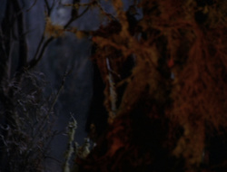 extant_XenaWarriorPrincess_6x09-ReturnOfTheValkyrie_2538