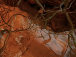 extant_XenaWarriorPrincess_6x09-ReturnOfTheValkyrie_2938