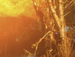 extant_XenaWarriorPrincess_6x09-ReturnOfTheValkyrie_3256