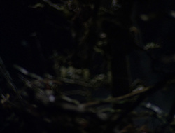 extant_XenaWarriorPrincess_6x09-ReturnOfTheValkyrie_3266