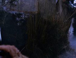 extant_XenaWarriorPrincess_6x09-ReturnOfTheValkyrie_3297