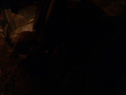 extant_XenaWarriorPrincess_6x10-OldAresHadAFarm_0140