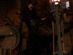 extant_XenaWarriorPrincess_6x10-OldAresHadAFarm_0162