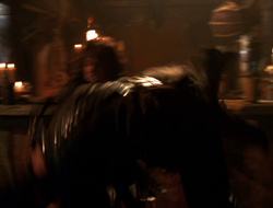 extant_XenaWarriorPrincess_6x10-OldAresHadAFarm_0168